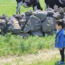 미소목장 이미지