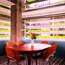 다이닝데이 이미지