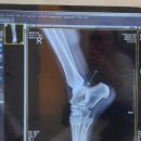 진제통한의원 이미지