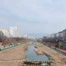 불광천변 이미지