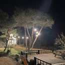 막지리184 이미지