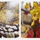 백사한의원 이미지