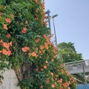 동래역_부산1호선 이미지