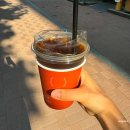 닥터설치과의원 네이버블로그