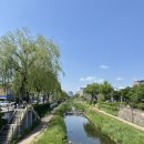 5계절김밥 | 수원 맛집 | 행궁동 다이어트 김밥 계절곳간 솔직 후기