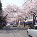 대광식당 이미지