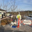 양돈 농장 이미지