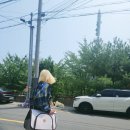 애견카페 펍 곰곰 이미지