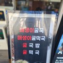 수원 인계동 데이트 맛집 통영돌문어보쌈