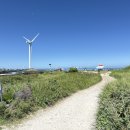 코난비치 이미지