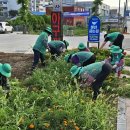신양면행정복지센터 이미지