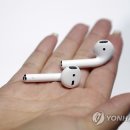팀에어 연합뉴스