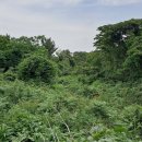 노형미리내공원 이미지