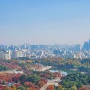 CU 행주대교점 | 겨울 서울 여행지 상암하늘공원 억새축제 명소 마포가볼만한곳