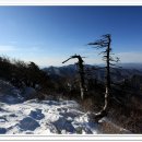 서일농장2 이미지