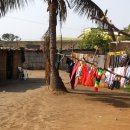 야자수 나라에서 만난 우리 이미지