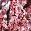 경포대횟집 이미지