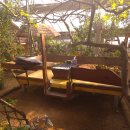 꽃피는산골 이미지