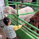 청결목장 이미지