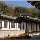 경광