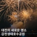 물초울공원(놀이시설) | 대전의 새로운 랜드마크! 갑천생태호수공원 시설 개장식 불꽃놀이 후기