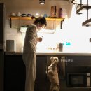 여수안단테애견스파오션뷰펜션 이미지