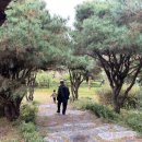 죽림폭포 공원 이미지