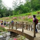 내곡동주민센터 화장실 이미지