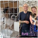 디노메디 이미지