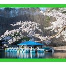 달콤한향기
