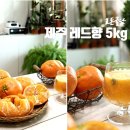 귤담 - 서귀포시 중산간동로 7726 | 귤담