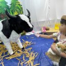 죽곡농장 이미지