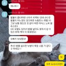 지민32 | 요즘 러닝화 사려면 이렇게 힘든 거 맞나요 ..아식스 젤카야노32 구매후기