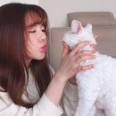써니홈즈