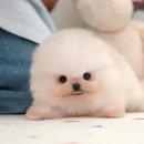천천히 - 군위군 치산효령로 2374 | 천천히