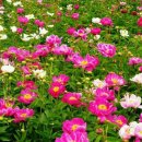 협신기업 - 남양주시 사릉로 642-16 | 협신기업