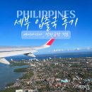필리핀 세부 입국 출국 후기 : 막탄공항 정보 및 전자담배 반입, 에어아시아 항공