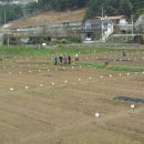 장경희농장 이미지