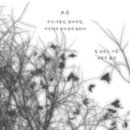 선을 만들고 유연하게 합류하는 팀 잉골드의 조응 : 2024년 6월