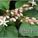 녹산등대가는길 이미지