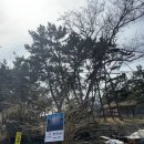 [태안] 천리포 오션뷰 카페, 천만금 내 돈 내산 솔직 후기!
