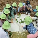 얘들아, 숲에서 놀자! 서울시, 제10회 유아숲 가족축제