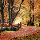 소로3-17 이미지