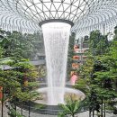 [디자인·건축] 인공 정원에 40m 높이의 폭포 만들고 온실 안에 6만 그루 나무 심었어요 이미지