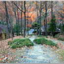 대운산자연휴양림 이미지