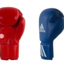 팀몬스터 복싱체육관 이미지