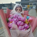 경희숲유치원 네이버블로그