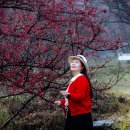 푸른상회 이미지