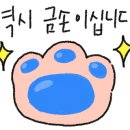 어푸왁싱