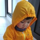 도윤농장 이미지